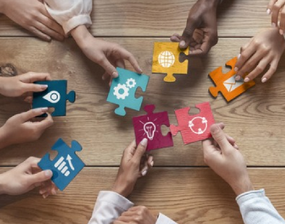 Course Development & Delivery